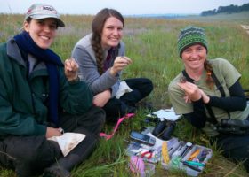 VCE Biologists Discover Migratory Patterns of Two North American Grassland Bird Species