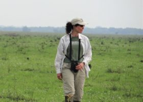 From New England to Colombia, Migratory Species Rely on Grassland Ambassadors