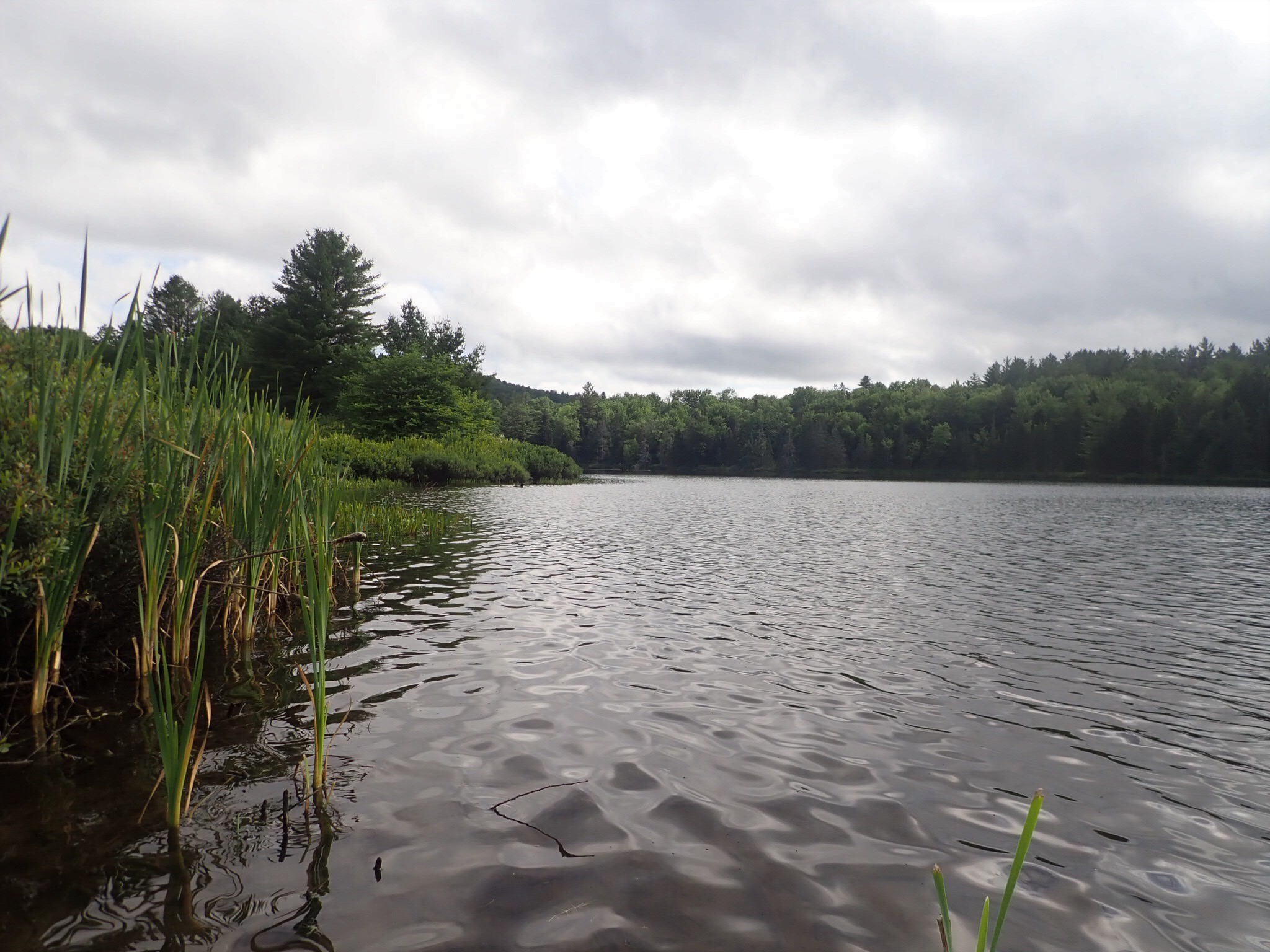 Overcast skies on Colby Pond / © Rose West