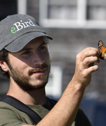 Nathaniel about to release a tagged Monarch / © Michael Sargent