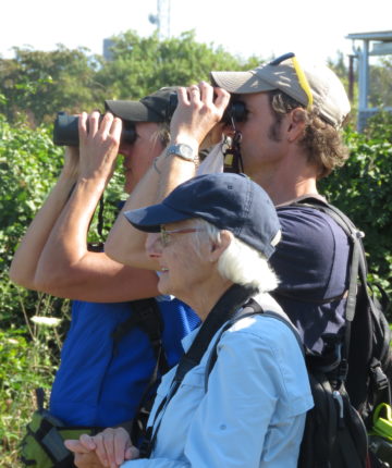 A beautiful day for birding (Rebecca, Susan, and Jason) / © Susan Hindinger