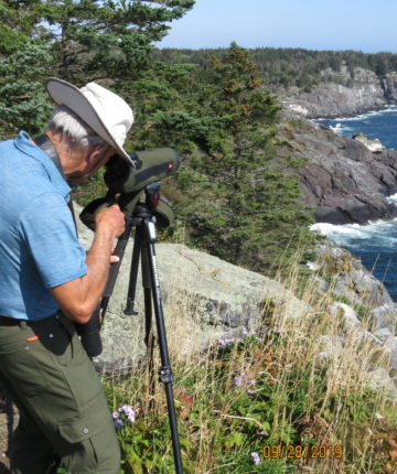 Steven looks northeast toward Black Head from the overlook at White Head, just minutes before the Humpback Whale breached! / © Susan Hindinger