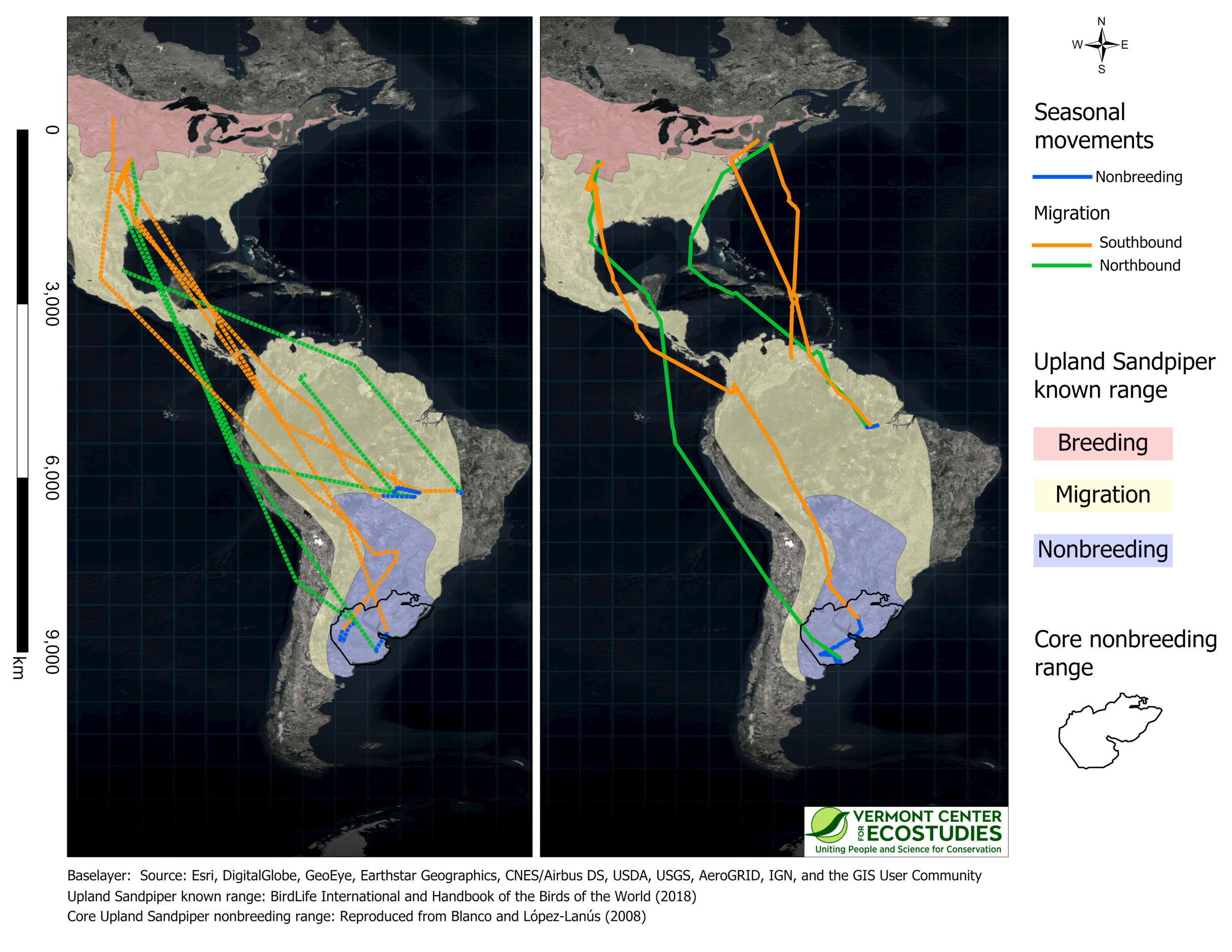 The annual movement paths of nine Upland Sandpipers captured in Kansas or Massachusetts and tracked with GPS (left panel, dashed lines, 5 birds) or solar-powered PTT tags (right panel, solid lines, 4 birds).