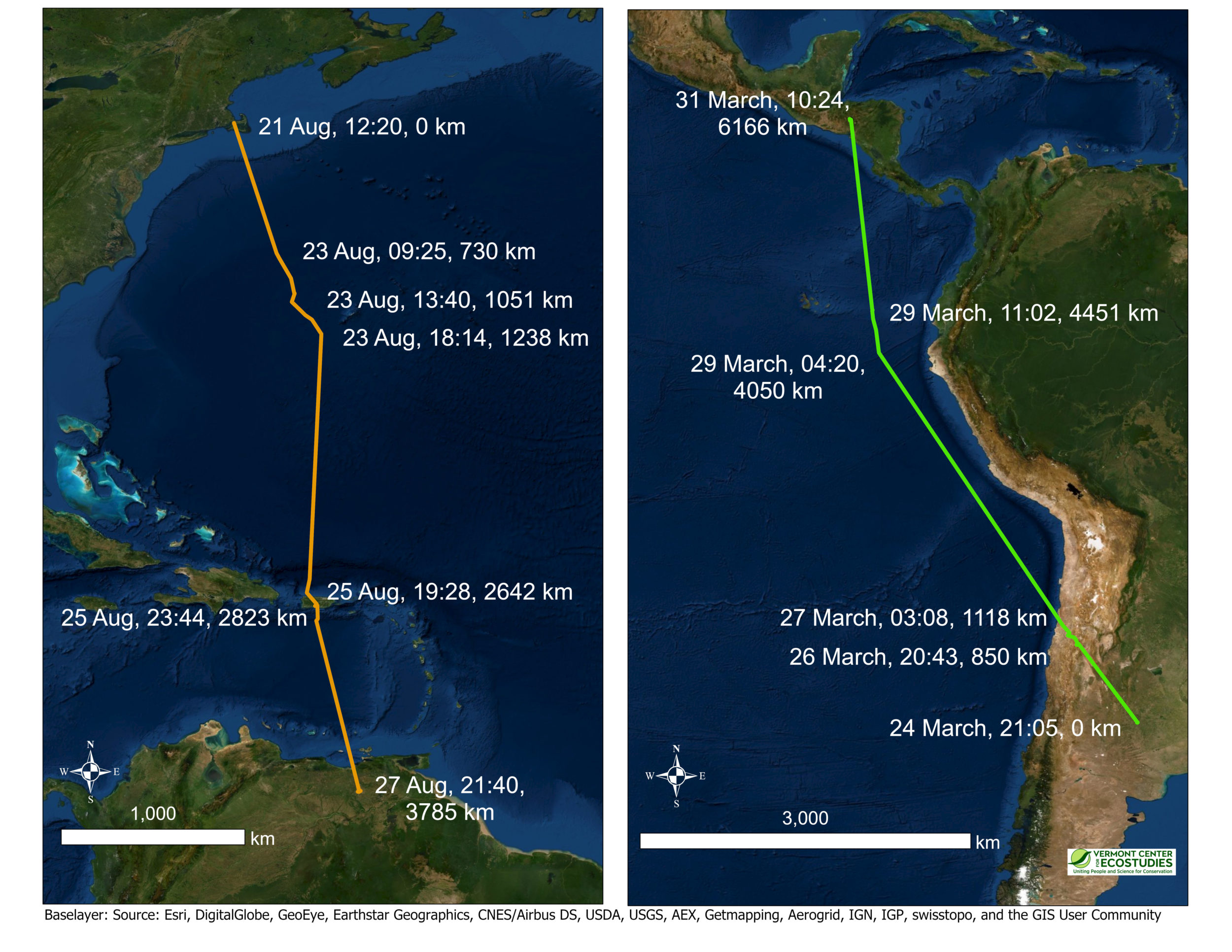 Two examples of migratory segments illustrating nonstop flights over long distances for multiple days by Upland Sandpipers wearing satellite tags.