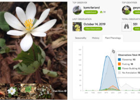 Join Our Spring Wildflower Phenology Annotation Blitz!