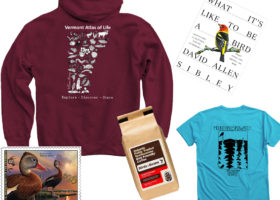 Gifts for the Conservation-minded People on Your Gift-giving List