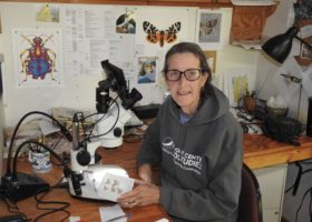 A Lifetime Dedicated to Nature: JoAnne Russo Receives VCE's 2020 Julie Nicholson Community Science Award