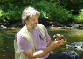 Tribute to Steve Parren — a Conservation Champion and VCE Friend