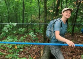 Birds, Bees, and Trees: A Summer Working for VCE