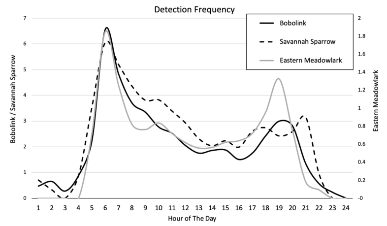 Graph of bird detections