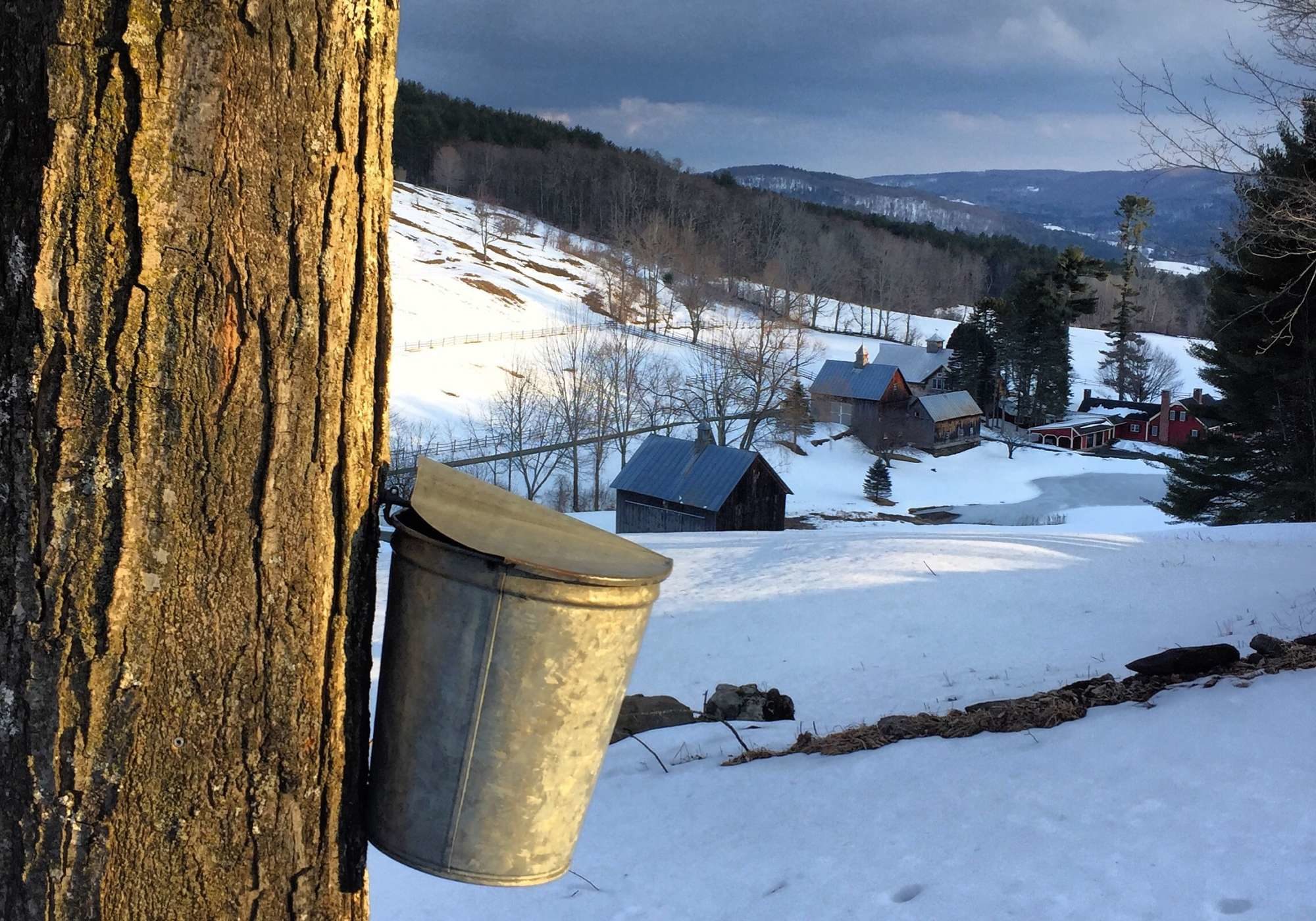 A traditional Vermont sugaring bucket. K.P. McFarland