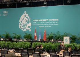 Reflections From COP15