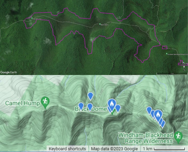 Both panels show the Black Dome ridgeline (and surrounding mountains) in the Catskills of New York. Top panel shows the estimated extent of the high elevation spruce-fir forest, shown in purple, via Google Earth. The bottle panel shows the same area, via eBird.org. The blue markers in the bottom panel show where Bicknell's Thrush have been reported to eBird in the past.
