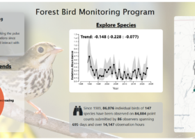 Forest Bird Monitoring Data Dashboard Goes Live