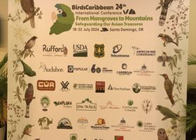 24th BirdsCaribbean International Conference: Conversations and Celebrations