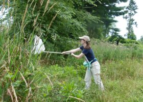 Smith Richardson Wildlife Preserve Visit