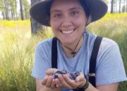 Photograph of Megan Massa holding two nestling Red-cockaded Woodpeckers.