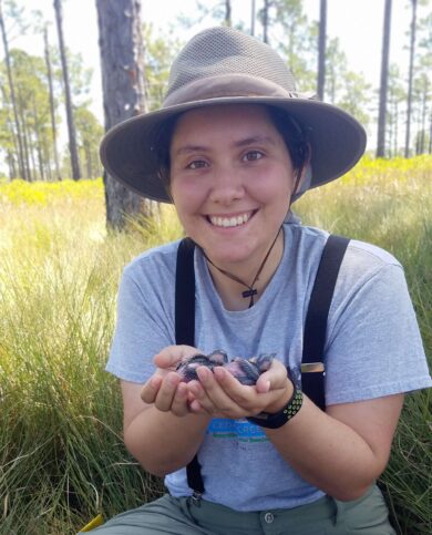 Photograph of Megan Massa holding two nestling Red-cockaded Woodpeckers.