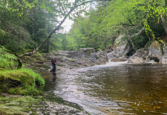 16049, , 250715_Danfishing, , , image/jpeg, https://vtecostudies.org/wp-content/uploads/2025/07/250715_Danfishing.jpg, 2500, 1875, Array, Array © Chris Kennedy
