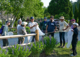 Over 350 Wild Bee Species Found in Vermont, with Help of Community Scientists