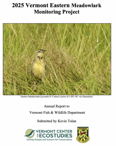 Cover of 2025 Eastern Meadowlark report